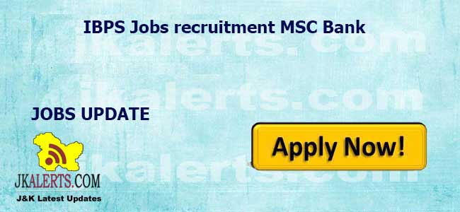 IBPS Jobs recruitment MSC Bank