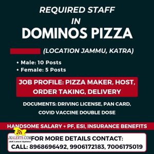 Jobs in Dominos Pizza Jammu and Katra.