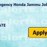 Regency Honda Jammu Jobs Recruitment 2022