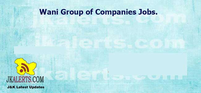 Wani Group of Companies Accountant Jobs.