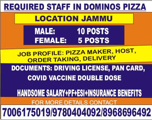 Dominos Pizza Jammu Jobs