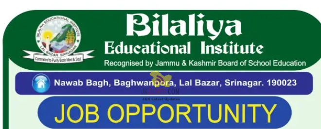 Jobs in Bilaliya Educational Institute