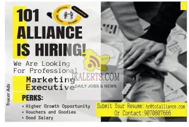 Marketing Executive Job in 101 Alliance
