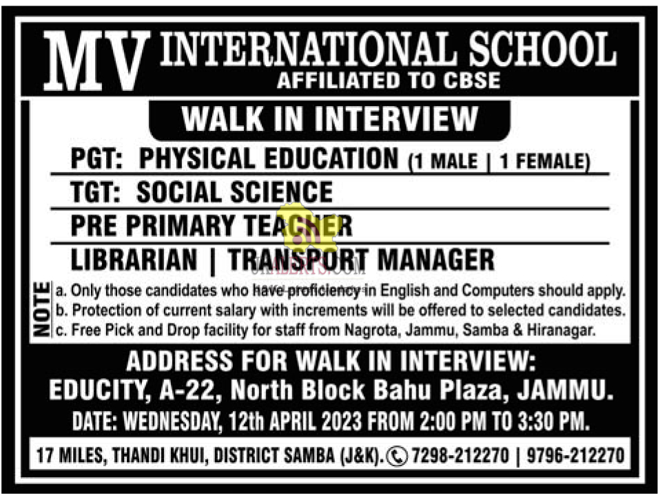 Jobs in MV International School