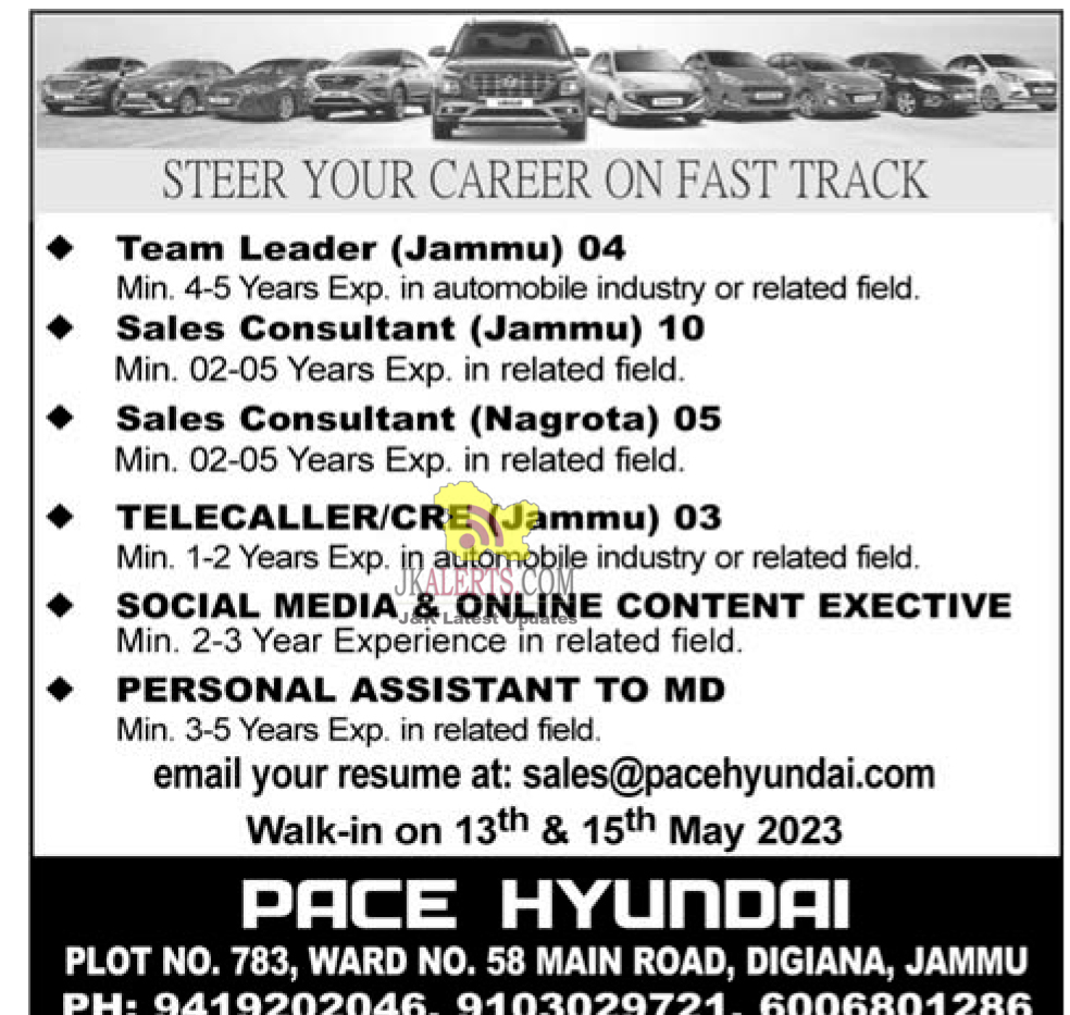 Various Jobs at Pace Hyundai Jammu.