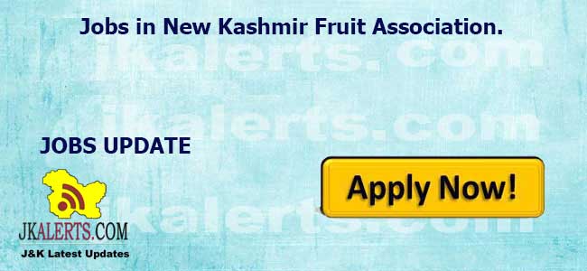 Office Assistant Jobs in New Kashmir Fruit Association.