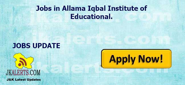 Jobs in Allama Iqbal Institute of Educational.