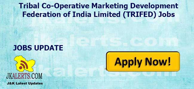 TRIFED Recruitment 2023, Hiring Interns and Program Associates