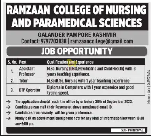 Ramzan College of Nursing and Paramedical Sciences Jobs.