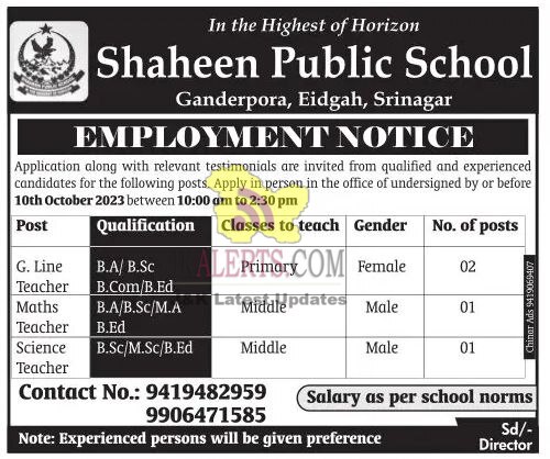 Teacher jobs in Shaheen Public School.