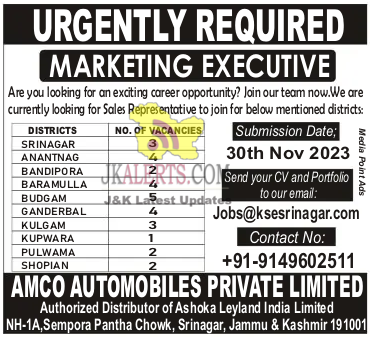 Jobs in AMCO Automobiles Private Limited.
