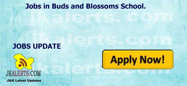Jobs in Buds and Blossoms School.