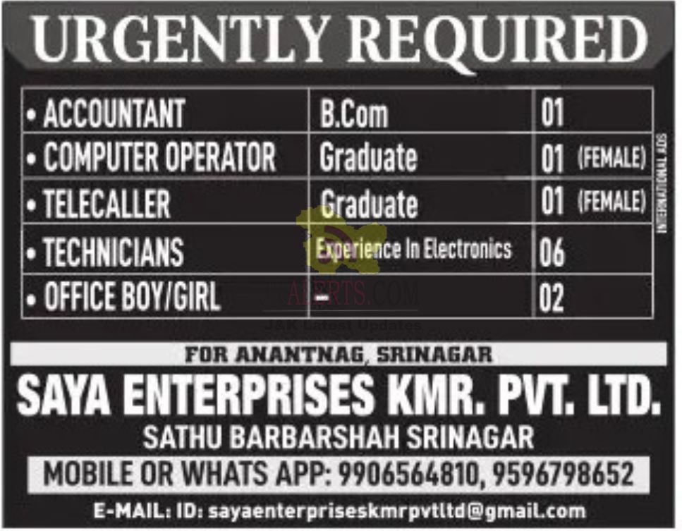 Jobs in Saya Enterprises Kmr. Pvt. Ltd.