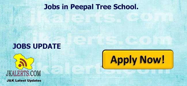 Jobs in Peepal Tree School.