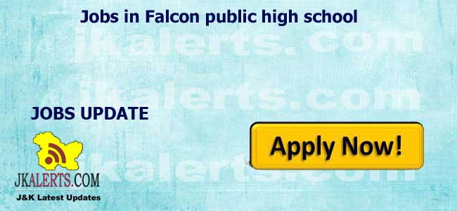 Jobs in Falcon public high school 