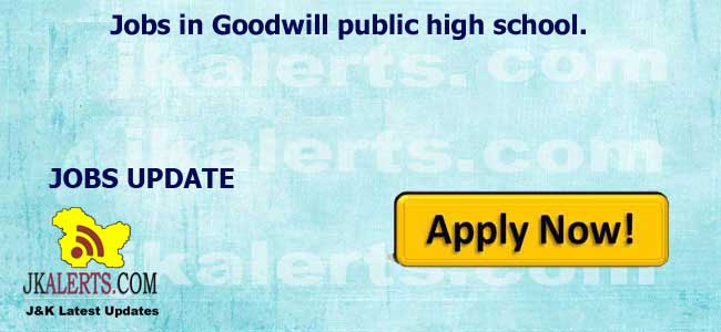 Jobs in Goodwill public high school.