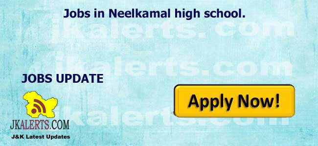 Jobs in Neelkamal high school.
