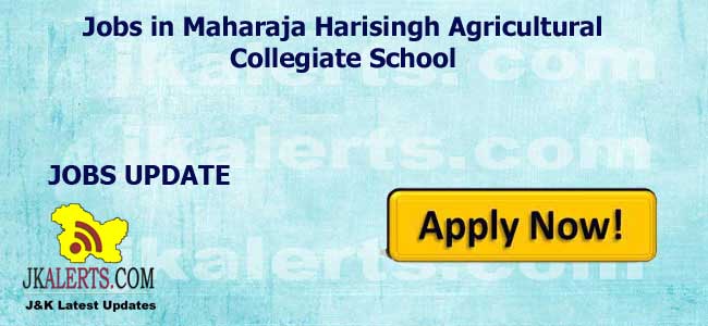 Jobs in Maharaja Harisingh Agricultural Collegiate School Nagbani, Jammu