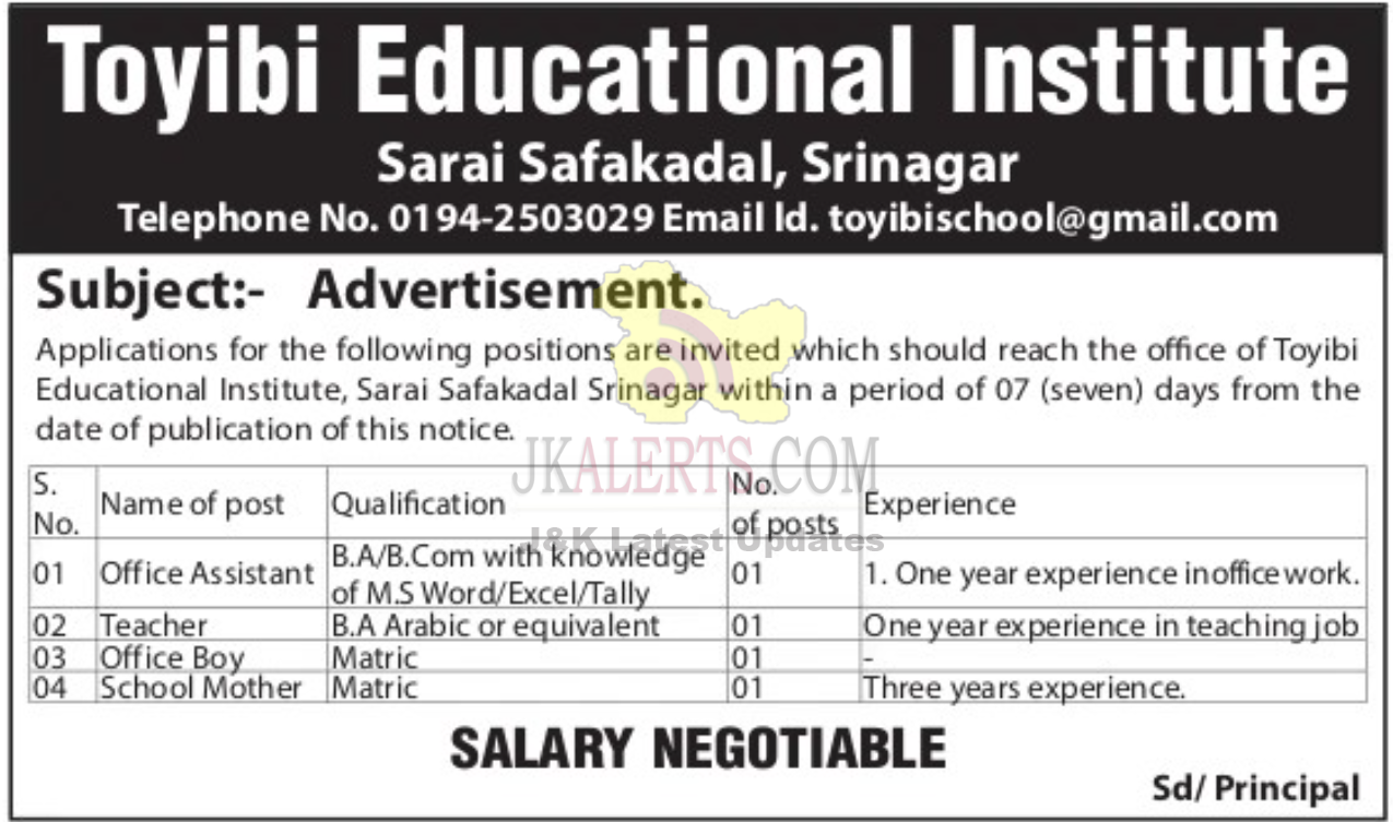 Jobs in Toyibi Educational Institute