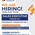 Sales Executive jobs