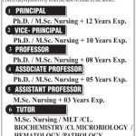 Royal Institiute Of Paramedical Sciences jobs.