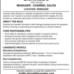 Manager Channel sales jobs