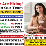 Sales Executives Jobs