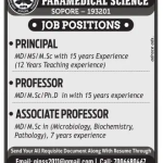 Associate Professor Jobs