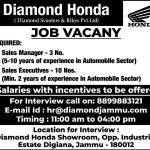 Sales Manager, Sales Executives Jobs
