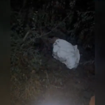 Woman found tied inside plastic bag in Rajouri.