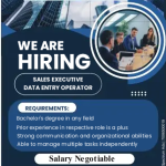 Data Entry Operator Jobs