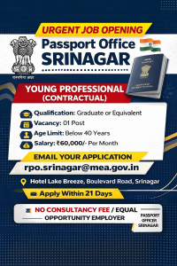 Jobs in Passport Office Srinagar Jobs in Passport Office Srinagar