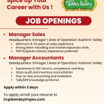Manager Accountants Jobs