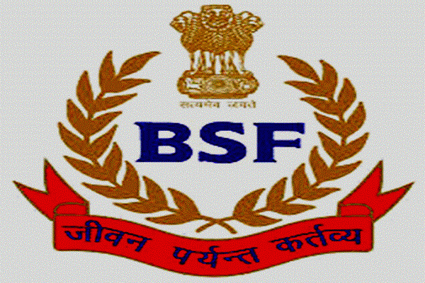 BSF Group B & C Recruitment 2024 – Apply Online for 141 Posts ...