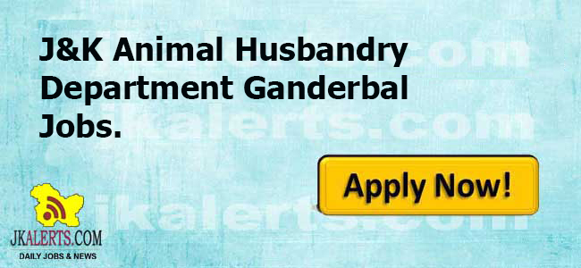 Jobs In Gander