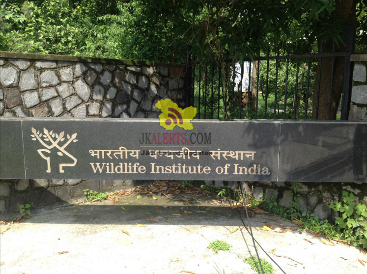 phd wildlife india